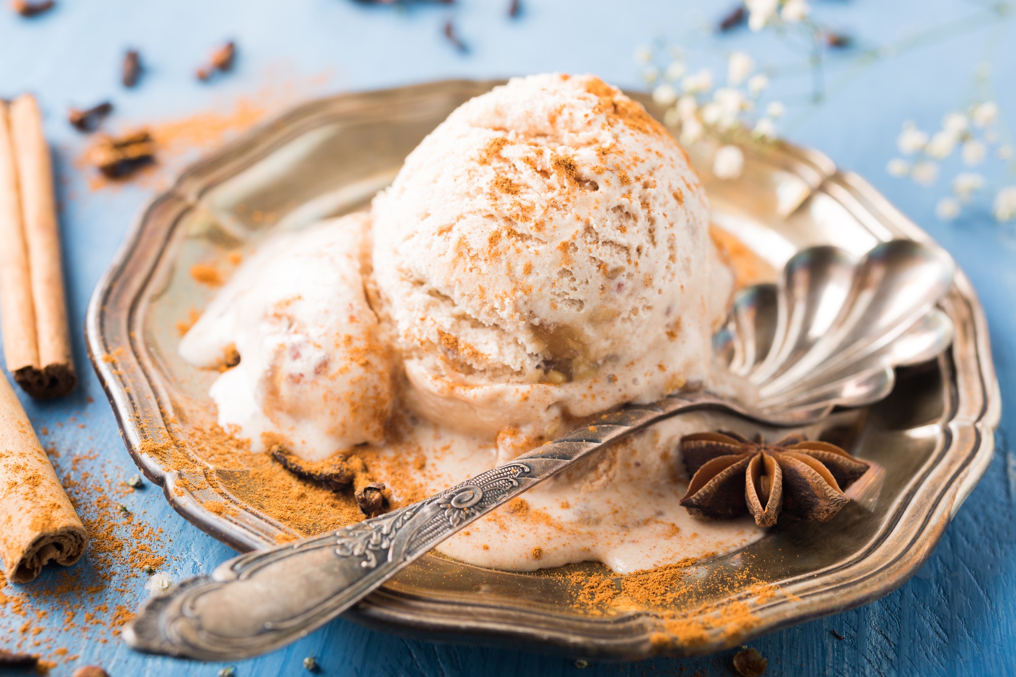 Scoop of homemade ice cream with cinnamon - ice cream vs gelato