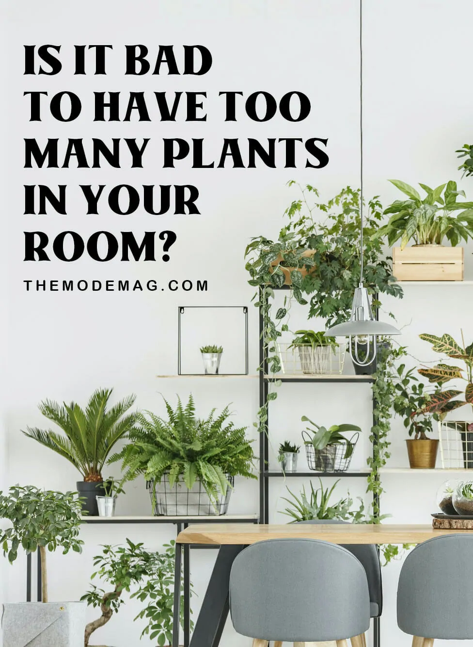 Is It Bad to Have too Many Plants In Your Room?
